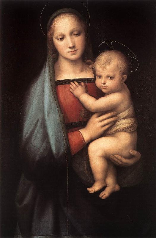 RAFFAELLO Sanzio The Granduca Madonna at oil painting image